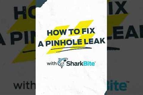 Leaky Pipe Repair Using SharkBite Max Fitting