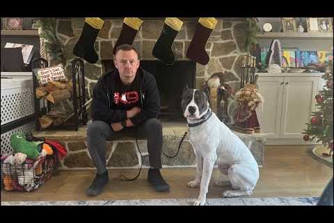 Live Aggressive Dog Training Q&A - Resource Guarding