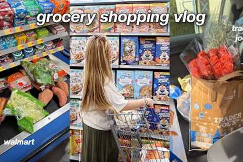 GROCERY SHOP WITH ME *realistic &amp; balanced* 20 yr-old living alone