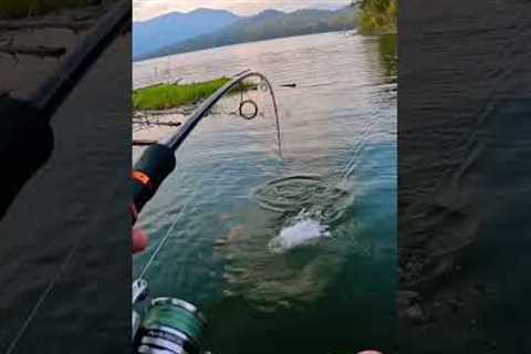 Extreme Giant Snakehead Fishing!!!
