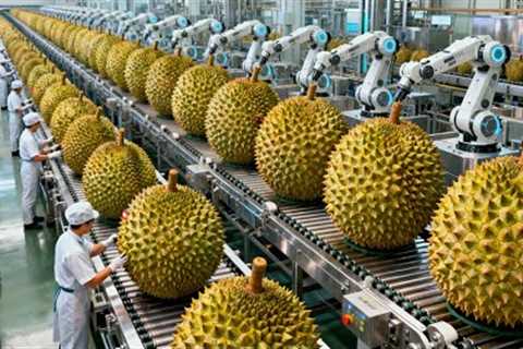 Inside a Modern Durian Factory: From Fresh Harvest to Durian Ice Cream Base (Full Process)