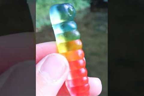 Fishing with gummy worms..