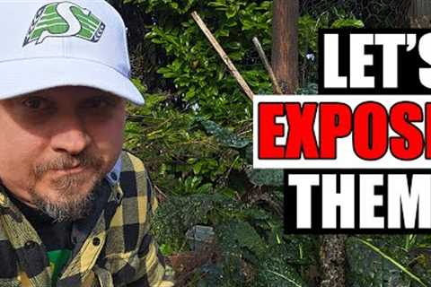 8 Gardening Myths Exposed