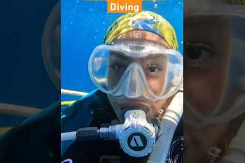 Thailand scuba diving #dalış #underwater #diving #gopro #scuba #scubadiving #thailand #sualtı #diver