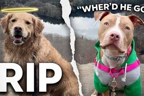 After Tragedy, She Became Dangerous—Can I Help?