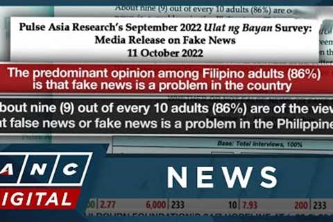 Social media influencers are 'top spreaders' of fake news in PH: survey | ANC