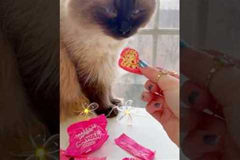 UNBOXING KAWAII MINI BRANDS! 😱😳🎀 *satisfying tiny food*