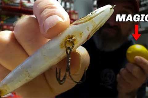 This Simple Trick Cleans Rusty Lures Fast!