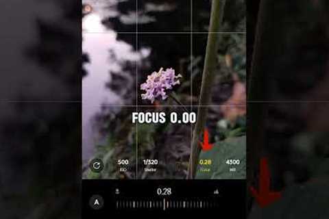Creative Photography | Tips &amp; Tricks with Phone using Pro Mode oj | Mobile Photography Hacks