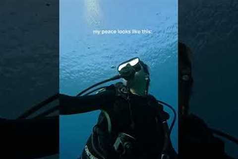 What my peace looks like… #diving #femaletravel #oceanlife #travel #scuba #underwater #ocean #diving