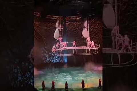 Cirque du Soleil, Bellagio, Las Vegas (part 2)