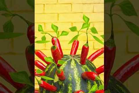 Simple Gardening Hacks to Transform Your Home Garden | #gardening #hacks #5minutecrafts #shorts