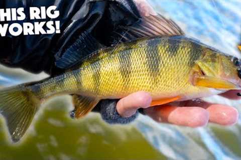 Fishing With Ultralight Gear In COLD WEATHER!