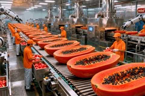 Inside a Modern Papaya Factory: From Farm to Dessert (The Whole Process)