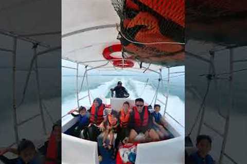 Island hopping with transfer boat