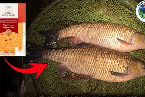 This SUPERMARKET BAIT will catch you fish!