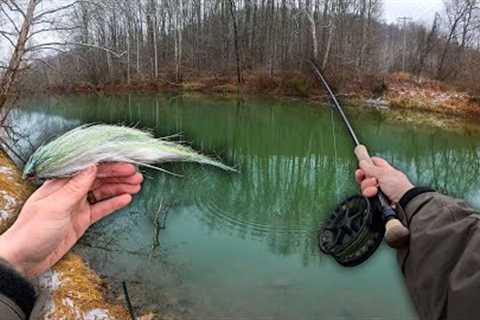 Fly Fishing With HUGE Streamers for Musky! || 4 Days of Action - Musky Hunt Ep 8