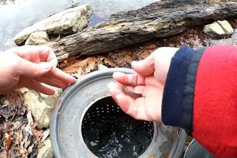 I Tried Fishing With Live MINNOWS and This Is What Happened