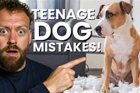 The BIGGEST Mistakes Owners Make With Teenage Dogs