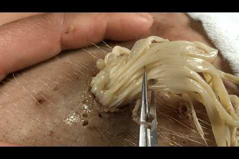 𝑻𝒉𝒆 𝑩𝒆𝒔𝒕 𝑭𝒂𝒄𝒊𝒂𝒍 𝑪𝒍𝒆𝒂𝒏𝒔𝒊𝒏𝒈 𝑹𝒆𝒍𝒂𝒙𝒊𝒏𝒈 & 𝑺𝒂𝒕𝒊𝒔𝒇𝒚𝒊𝒏𝒈 𝒇𝒐𝒓..