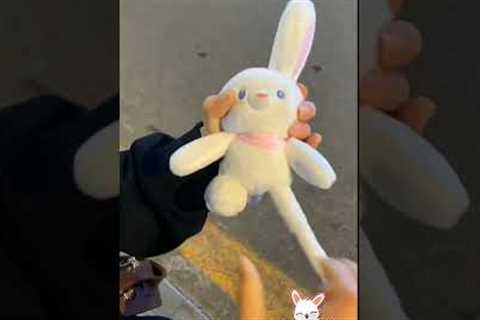 Rabbit Plush 🐰 🥹 | Plush Toys for Kids | Plush Toy | #plushtoys #cutetoys #shorts #giftforkids