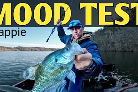 “If They Won’t Bite… This Rig Test NEVER Fails”