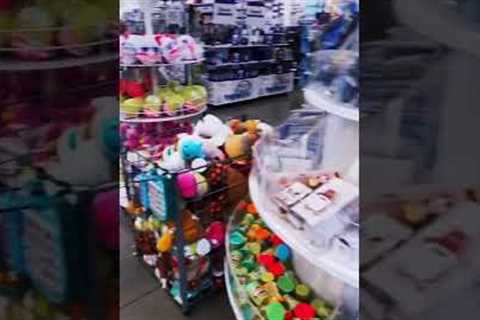 Paid for everyone’s purchase at 5 below including staff #5below  #5belowhaul #spree #shopping #money