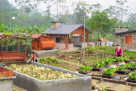 Full Video - 45Days Building Many Creative Cage To Raise Ducks, Geese - Growing Vegetable