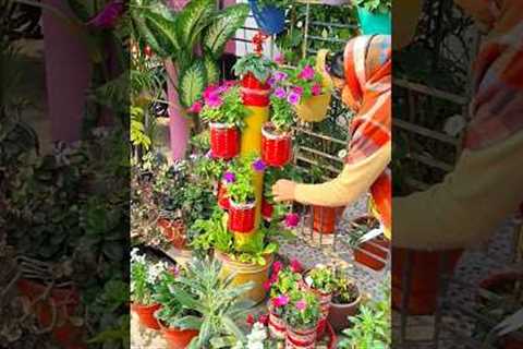 pituniya flowers care #song #nairakajahan #trending #ytshorts #gardening #flowers
