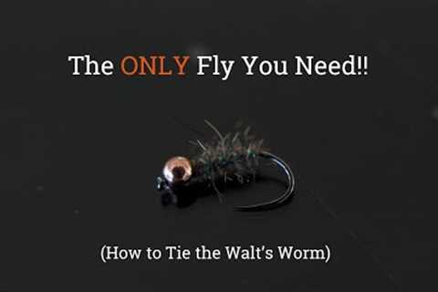 The ONLY Trout Fly You Need - How to Tie the Walt's Worm