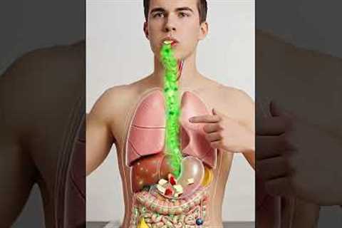 The Apple’s Hidden Path Through Your Body 🍎 | Full 3D Digestive System Animation