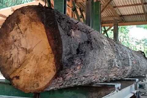 The appearance of beautiful mahogany wood grain makes it expensive in sawmills. 