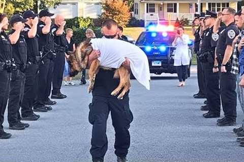 K9 Police Dogs Funeral Processions  Thank You for Your Service | top best dog training techniques