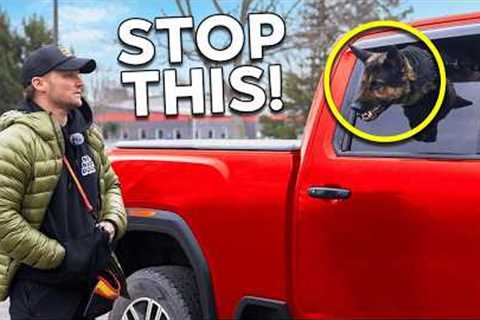 Does Your Dog Go CRAZY in the Car? Do This..