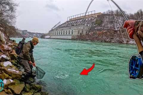 Is This One of the Rarest Fish In New York? - Fly Fishing for HUGE Trout! (Lakers Pt 1)