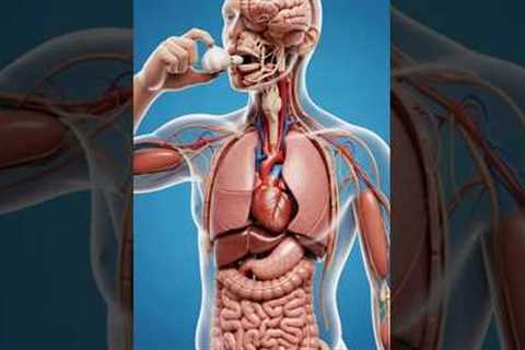 What Happens If Garlic Enters Inside Your Body | Digestion Animation | #healtheffects #sideeffects