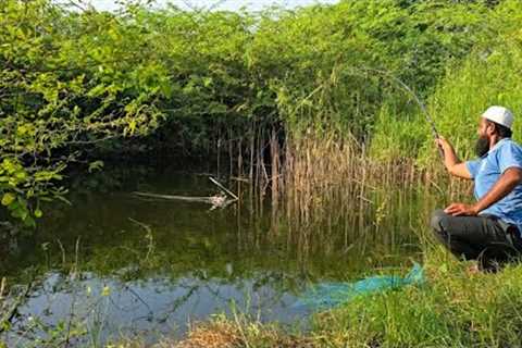 SMALL INSECTS TO BEST CATCHES!ROHUFISH AND TILAPIAFISHES WITH A SMALL HOOK FLOAT FISHING TECHNIQUE