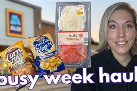 Shop with me at Aldi - family haul and meals