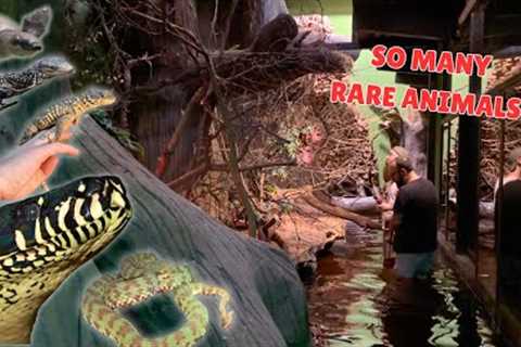 I Got a PRIVATE TOUR of the WORLDS TOP REPTILE ZOO!