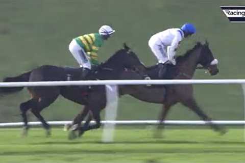 Proper horse Regent's Stroll off the mark over fences | Racing TV