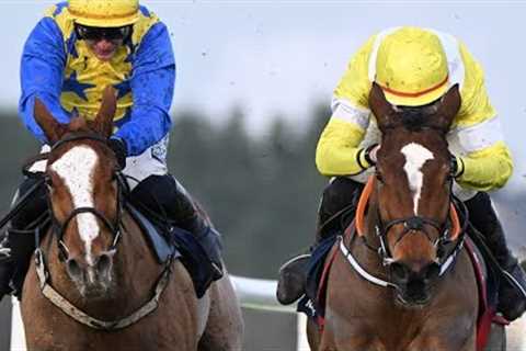 1/4F Bambino Fever downed by Cheltenham hope Oldschool Outlaw | Racing TV