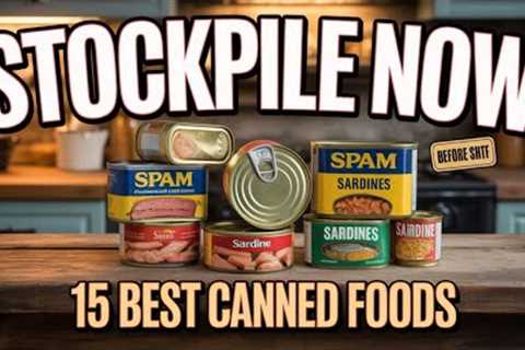 15 Best Canned Foods To STOCKPILE Before SHTF