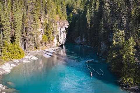 This Canadian Glacial Stream Is LOADED With Trout (Fly Fishing Canada)