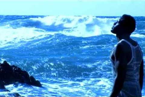 MMX - The Social Song | ENIGMA (Official Video)