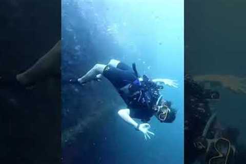 Phuket Dive Tour Scuba Diving Phuket Thailand #scubadiving #adventuresport #travel #scubadivingtrip