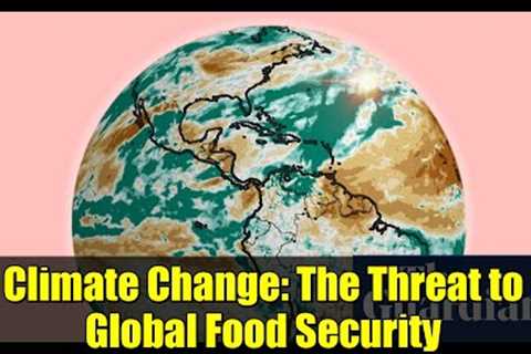 Climate Change: The Threat to Global Food Security | Extreme Weather &amp; Crop Yields