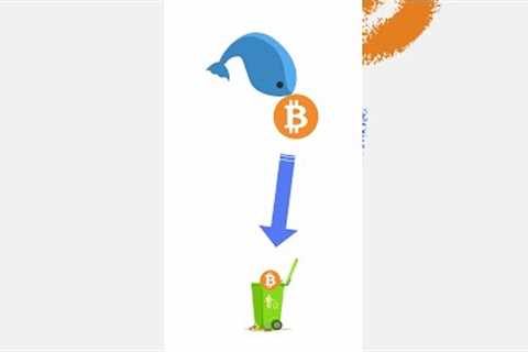 Chinese Whales Dumping (re-Edit) Bitcoin LIVE😱