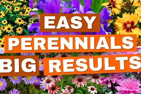 NEW to Gardening? Start with These 20 EASY Perennials! ✅