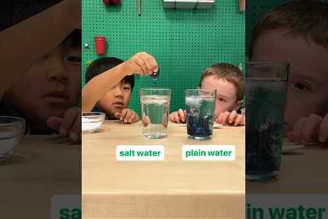 Salt-water trick | chemistry experiment at home with food coloring