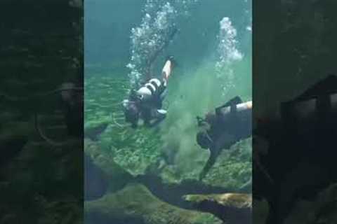 How to scuba dive Blue Spring State Park in Florida